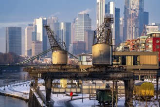 The skyline of Frankfurt am Main, skyscrapers of the banking district, historic harbour cranes at