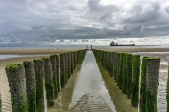 North Sea coast in Zeeland, called Zeeland Riviera, breakwater, made of wooden piles, near