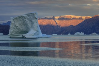 Large icebergs in fjord off Bergen, evening light, Scoresby Sound, East Greenland, Greenland, North