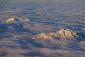 Mountain peak above high fog, evening light, winter, view from Zugspitze to Kramer, Upper Bavaria,