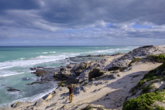 Sand dunes, De Hoop Nature Reserve, nature reserve near Struisbaai, Garden Route, Western Cape,