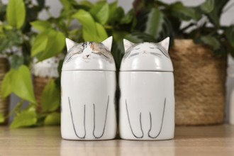 Germany, October 2023: Two custom made cat pet urns on table, Europe