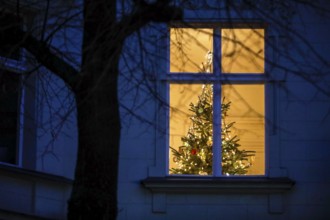 Luminous Christmas tree in a flat. Due to the corona pandemic, Christmas parties are only allowed