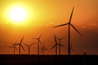 Sunset at a wind farm, Mallnow