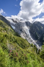 Impressive mountain landscape with glacier, view of glacier Glacier de Taconnaz, hike La Jonction,