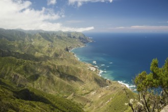 Panorama of Cabezo del Tejo, coast near Taganana, Anaga Mountains, Anaga, Tenerife, Northeast,