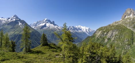 Mountain panorama with glaciated mountain peaks, Aiguille Verte with Aiguille du Midi and Mont