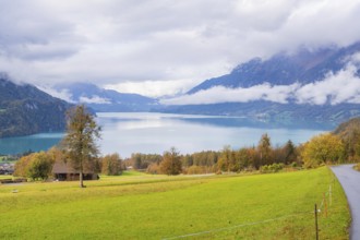 Picturesque lake landscape with mountains and clouds in the background, Lake Brienz, Switzerland,