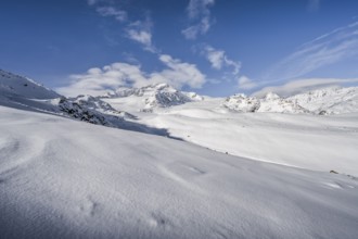 Snow-covered mountain landscape, mountain peak Monte Cevedale and glacier Zufallferner, Ortler