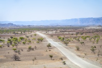 Gravel track leads through barren dry landscape with hills, Damaraland, Kunene, Namibia, Africa