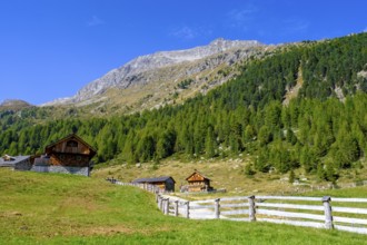 Staller Almen, high valley, Staller Sattel, Defereggen Valley, East Tyrol, Austria, Europe