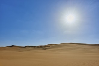 Sunny desert landscape with sand dunes under a clear blue sky, Matruh, Great Sand Sea, Libyan