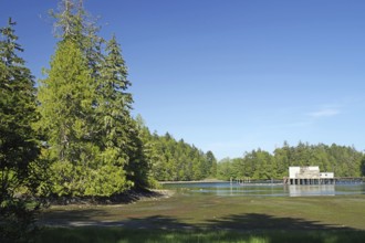 A calm river with trees on the bank and a small building in the background under a clear blue sky,