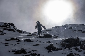 Ski tourers climbing to the summit, Dramatic, Snow-covered mountain landscape, Ortler Alps,