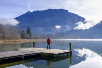 Man on the jetty, morning mist on Lake Lunz, Lunz am See, Eisenwurzen, Mostviertel, Lower Austria,