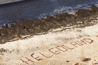 Helgoland lettering laid with stones on the northern beach, seaweed, coastal fringe, offshore