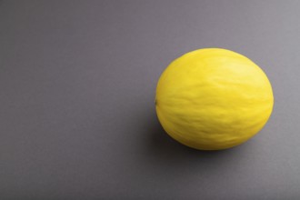 Ripe yellow melon on gray pastel background. Side view, copy space. harvest, healthy, vegan food,