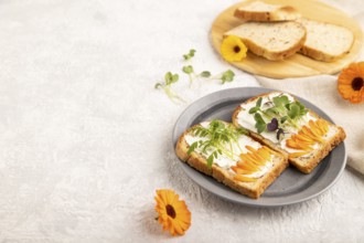 White bread sandwiches with cream cheese, calendula petals and microgreen radish and tagetes on