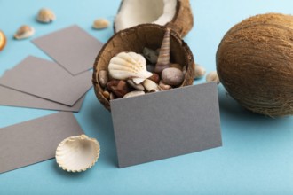 Gray paper business card with coconut and seashells on blue pastel background. Side view, copy