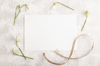 White paper sheet mockup with spring snowdrop galanthus flowers on gray concrete background. Blank,