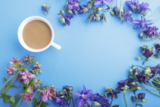 Pink and purple columbine flowers and a cup of coffee on pastel blue background. Morninig, spring,