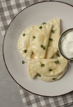 Pierogi, a traditional dish of Polish cuisine, dumplings, top view, close-up, no people