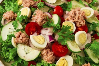 Tuna salad, vegetable salad with quail eggs, lettuce, red onion and cucumbers, on a light gray