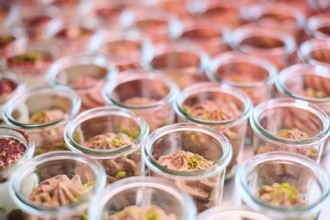 Chocolate mousse as dessert on a marriage, food on a buffet, Bavaria, Germany, Europe