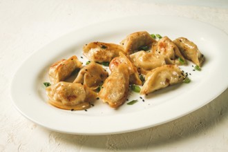 Japanese fried gyoza dumplings, with pork, sesame seeds, green onions