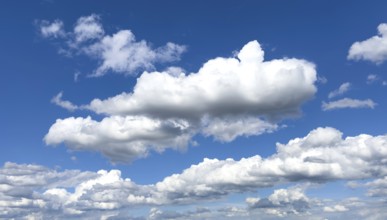 Large white cumulus clouds in front of blue sky, international