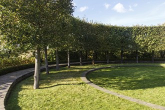 Cottage garden with green lawn, trees, hedges, trimmed bushes. Modern landscape design