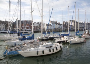 Modern yachts at moorings in the harbour at Weymouth, Dorset, England, UK