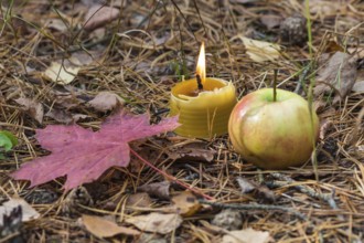 A burning candle with apple and red leaves. still life