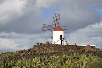 Windmill at Jardin de Cactus designed by César Manrique, Guatiza, Lanzarote, Canary Islands, Spain,