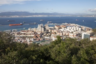 High density modern apartment block housing, Gibraltar, British overseas territory in southern