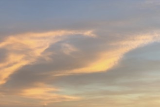 Altostratus Cirrus clouds are illuminated yellow orange by setting sun colourful colourful