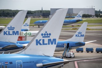 Amsterdam Schiphol Airport, aircraft at terminal, Gates D, check-in, apron, Amsterdam, Netherlands