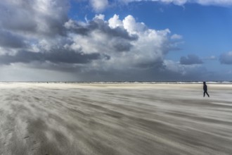 North Sea, Spiekeroog Island, autumn, strong wind drives the sand over the mudflats at low tide,