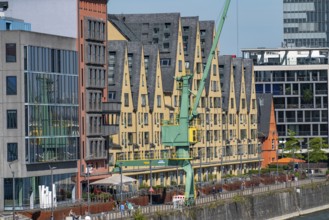 Promenade on the Rhine, at the old customs harbour, in Cologne South, on the Rhine, high-rise