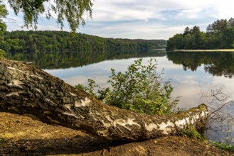 The Möhnesee, reservoir in the northern Sauerland, branch of the Hevesee, Kleine Schmalenau bay,