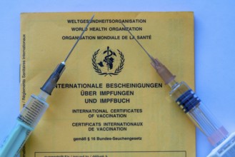 Vaccination book, proof of vaccinations, international document based on WHO recommendations,