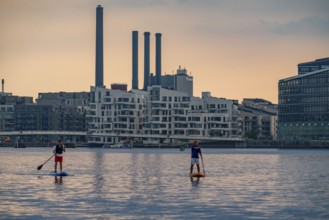 Standup paddlers on the Sydhavnen, behind the Bryggebroen Bridge, Copenhagen, Denmark, Europe