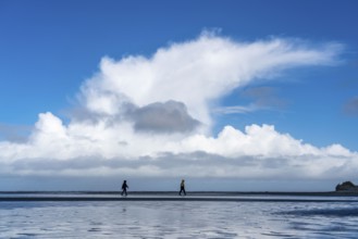 Beach, tidal creek, in the west of Borkum, island, East Frisia, winter, season, autumn, Lower