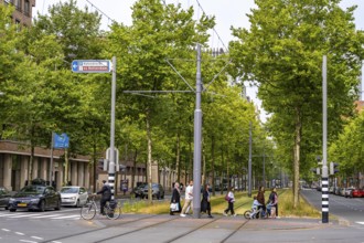 Urban greening, inner-city street Laan op Zuid, in Rotterdam's Feijenoord district, 4 lanes, 2 tram