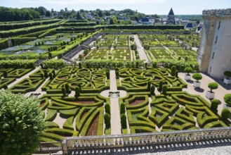 Detailed view of a geometric garden with hedge maze and manicured paths on a sunny day, Villandry