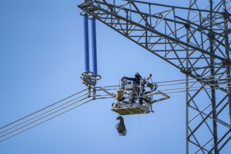 Construction of a new line route, 380 KV extra-high-voltage line between Osterath and Gohr, near