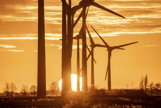 Wind farm near the East Frisian town of Norden, east of the town, sunset, Lower Saxony, Germany,