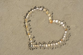 Heart made of mussel shells on the beach, Camargue, Provence, South of France