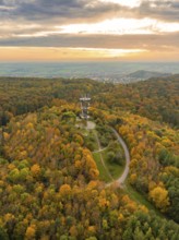 Colourful autumn forest with a tower and vibrant foliage under the sunset sky, Schönbuchturm,