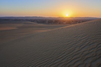 Atmospheric picture of a desert at sunset with undulating sand dunes, calm and peaceful atmosphere,